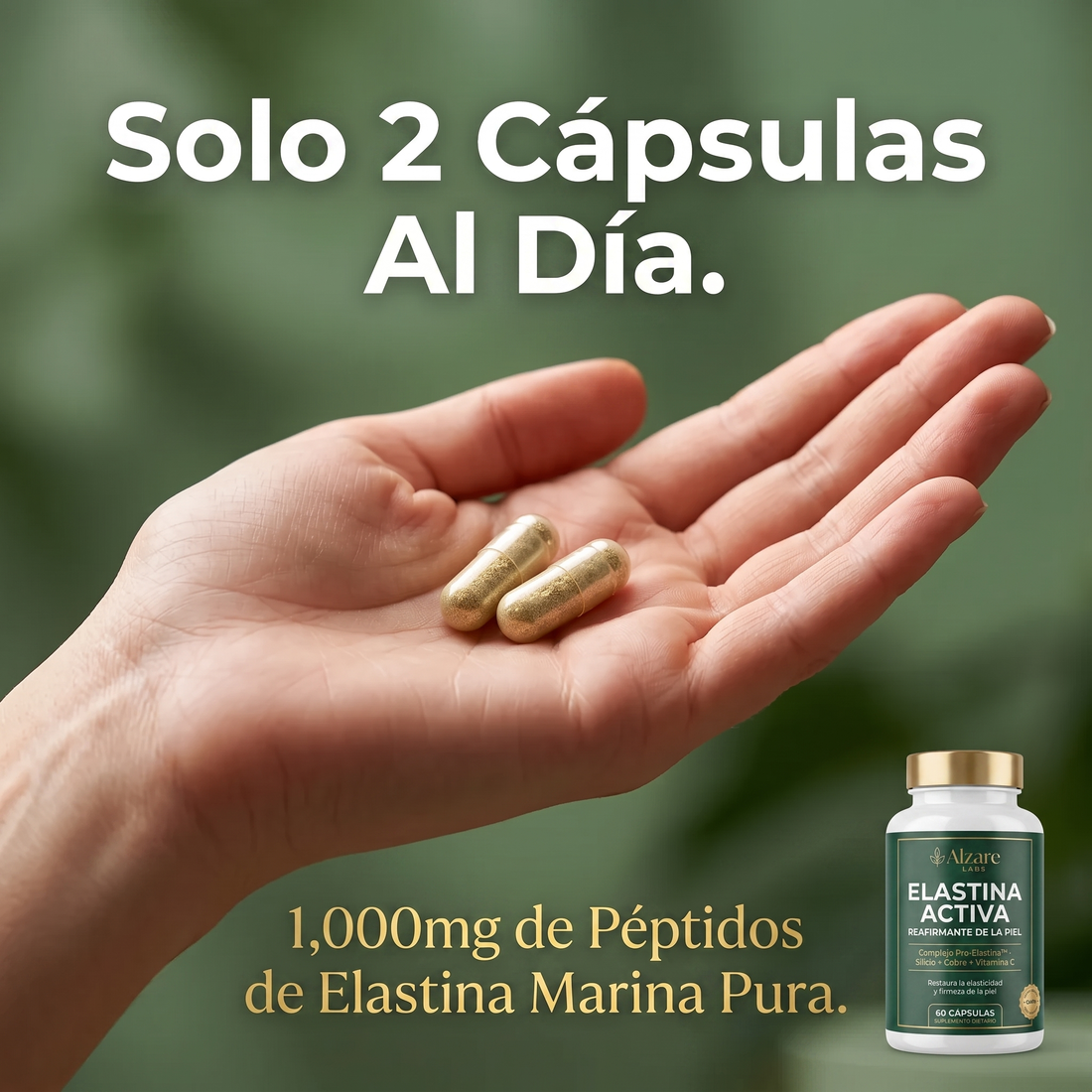 ALZARÉ® ELASTINA ACTIVA — Reafirmante de la Piel | Complejo Pro-Elastina™ (60 cápsulas)