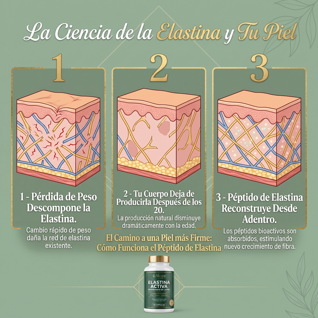 ALZARÉ® ELASTINA ACTIVA — Reafirmante de la Piel | Complejo Pro-Elastina™ (60 cápsulas)