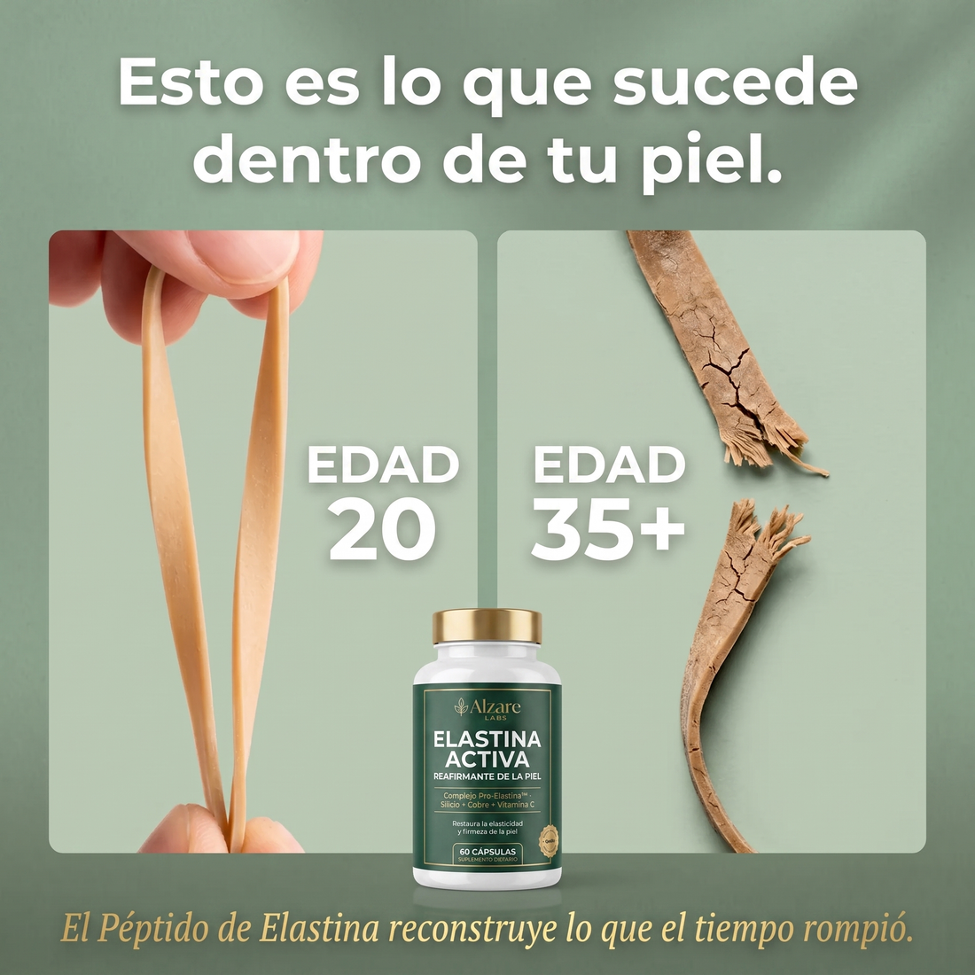 ALZARÉ® ELASTINA ACTIVA — Reafirmante de la Piel | Complejo Pro-Elastina™ (60 cápsulas)